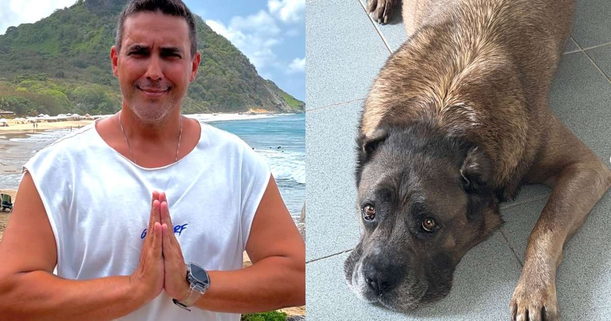 André Marques lamenta perda de sua cachorra Thora após 11 anos: 'Obrigado por tanto'