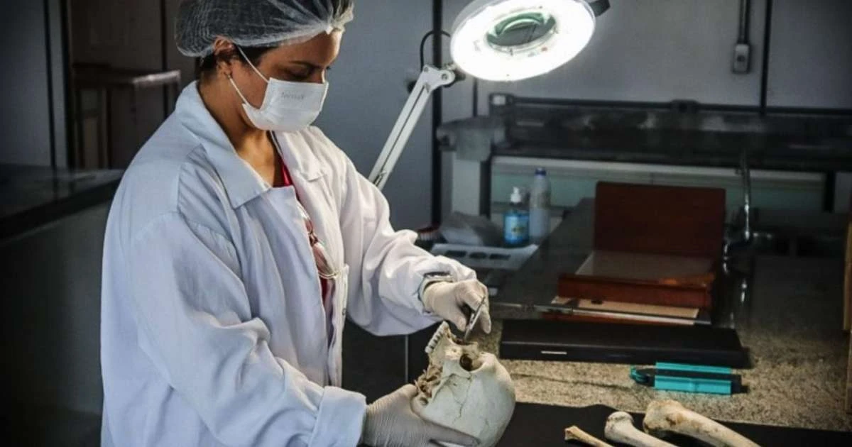 Mistério dos Crânios: Como a ciência revela histórias ocultas na Serra Gaúcha