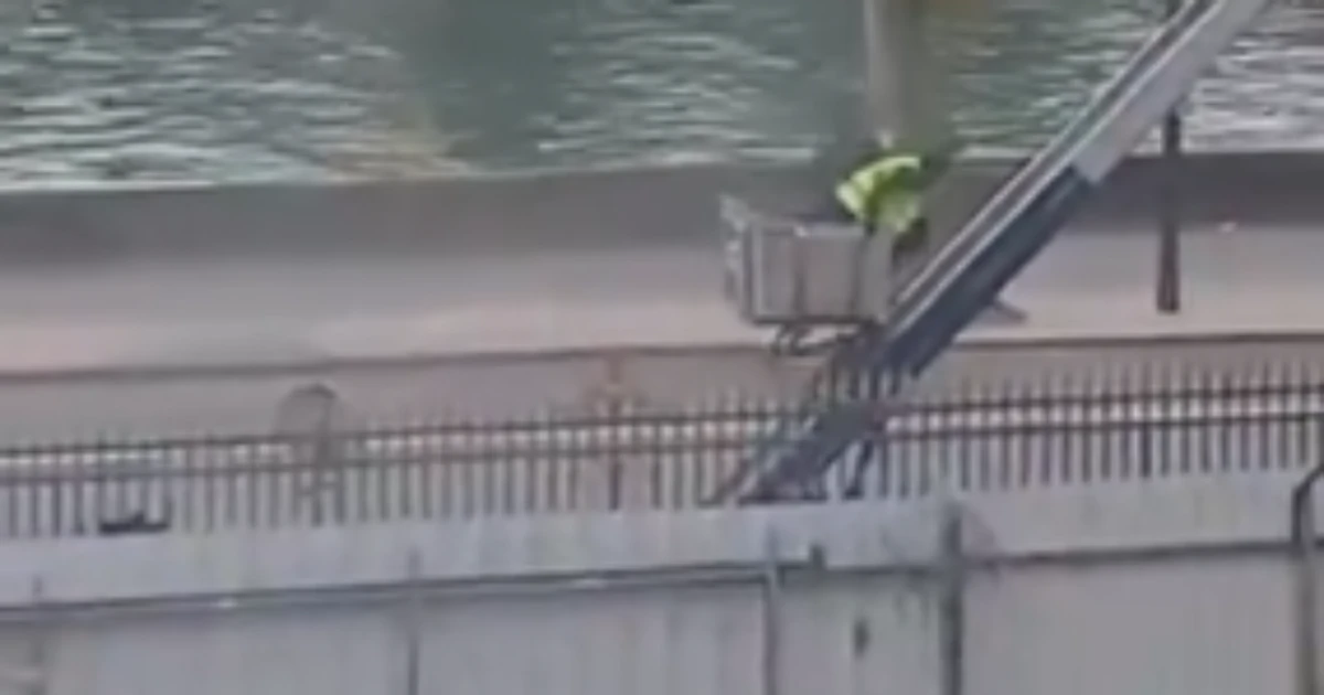 Novo vídeo mostra fuga de ladrões do Louvre usando elevador de carga; veja