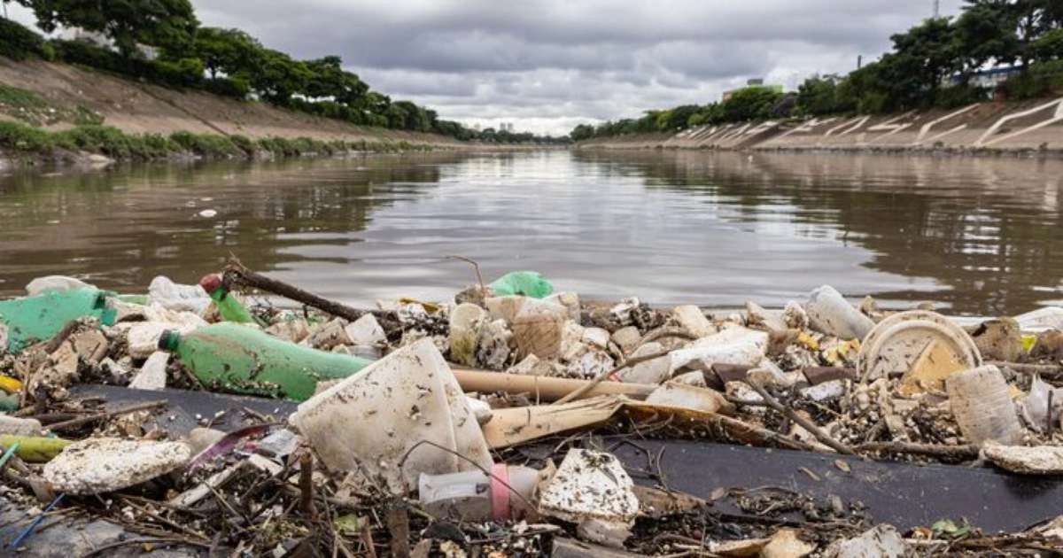 Nadar nos rios Tietê e Pinheiros? Governo de SP alega que meta que deve ser atingida até 2029