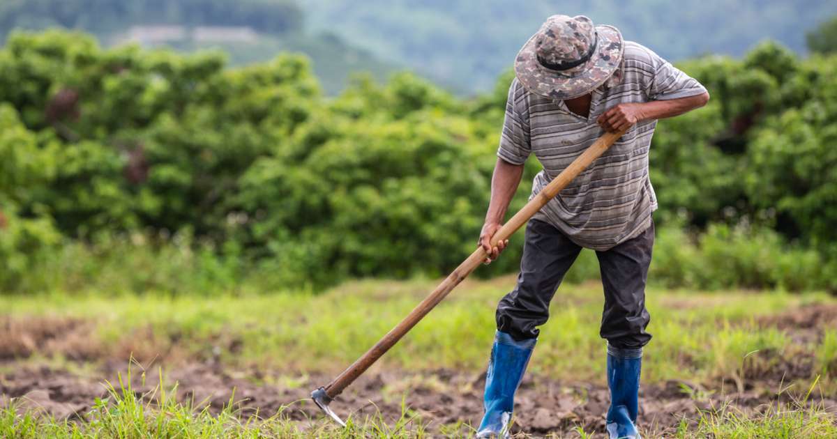 Aposentadoria rural exige regras específicas e comprovação