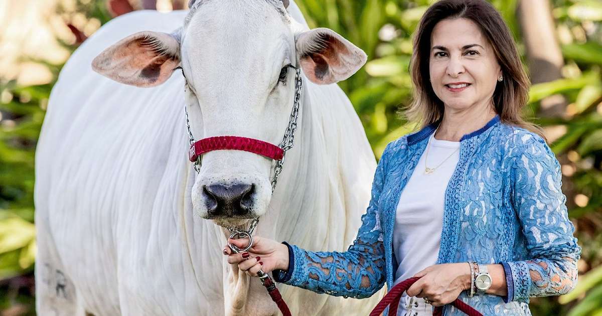 Ana Cláudia Mendes visa à sustentabilidade e bem-estar no campo: 'Respirando o agronegócio'