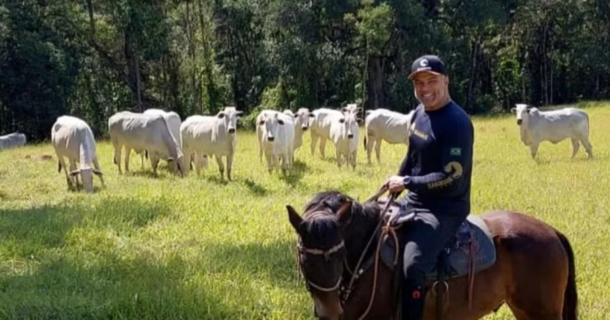 Fora da Globo, Maurício Mattar leva vida tranquila criando gado: 'É uma paixão'