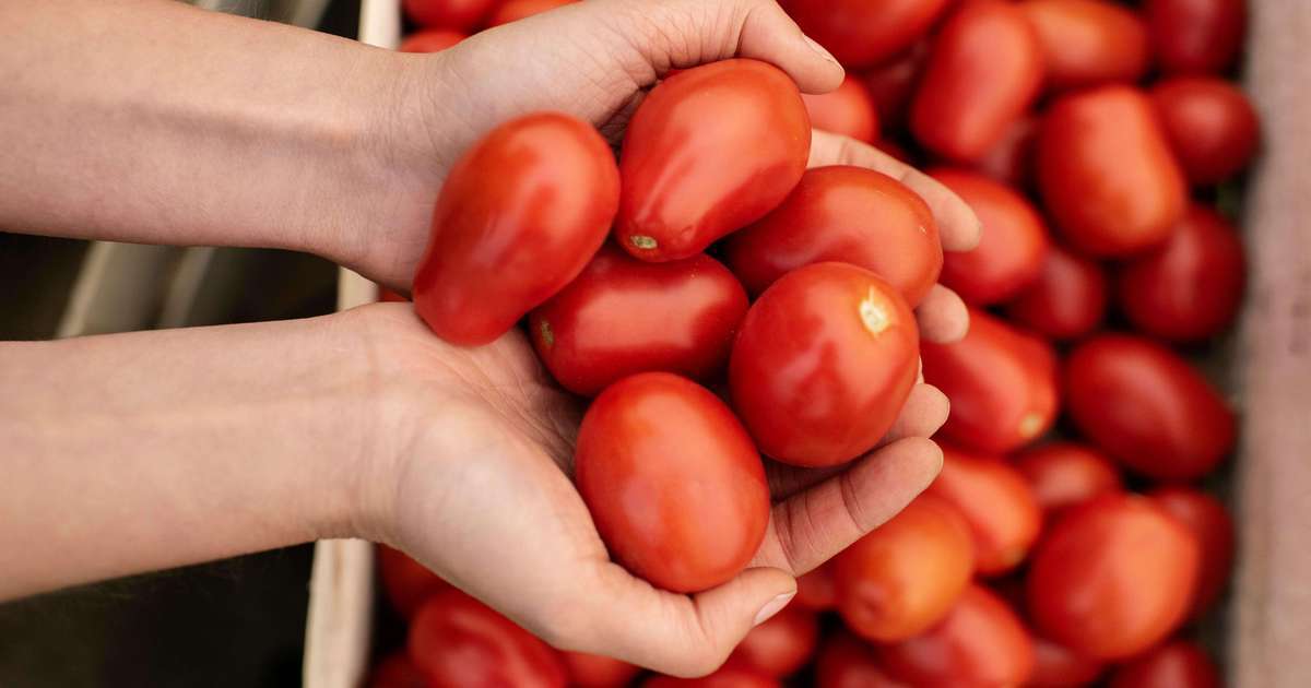 Fugini explica tecnologia do molho de tomate sem conservante