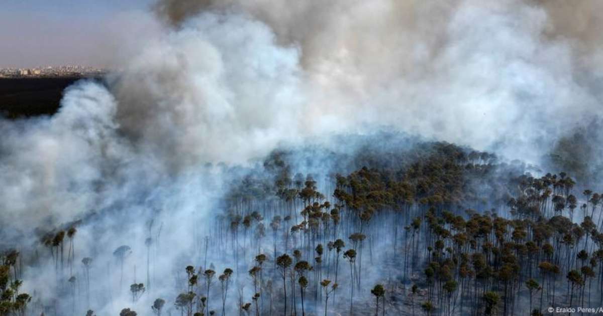 Queimadas poluíram ar em quase todas as capitais do Brasil; veja dados