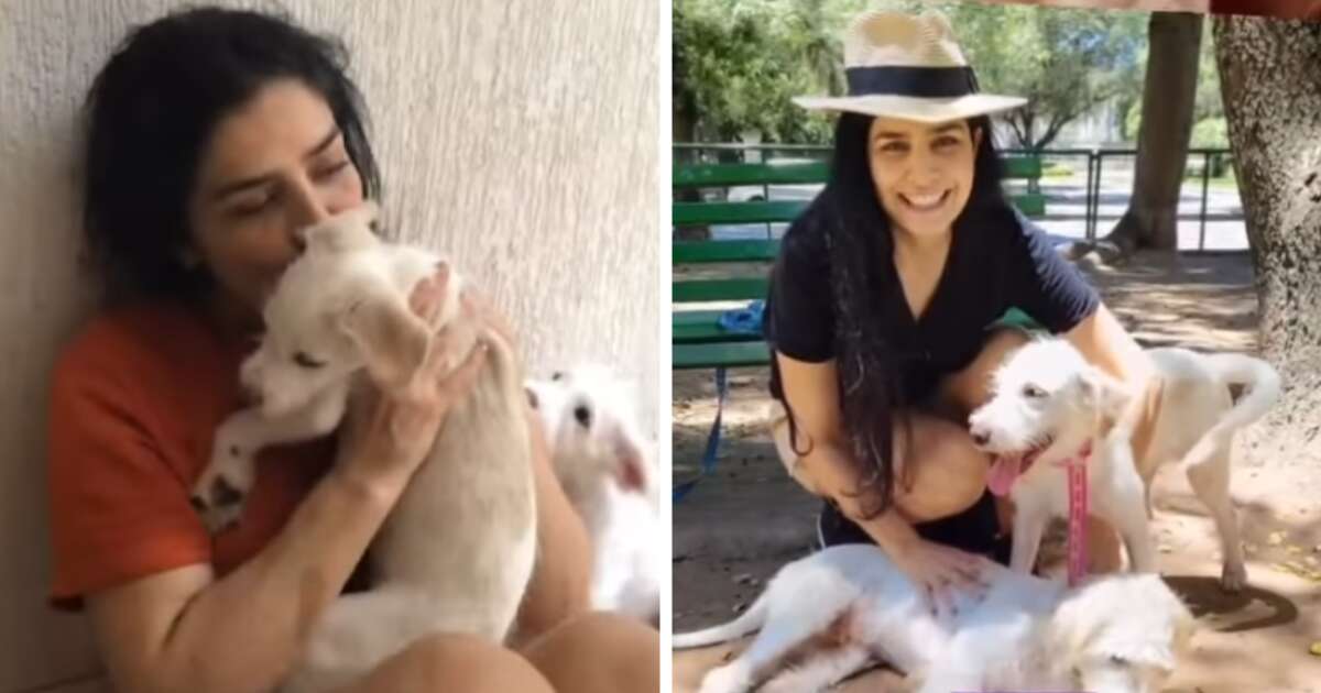 Letícia Sabatella diz que teve cães doados sem autorização e faz apelo para recuperar pets