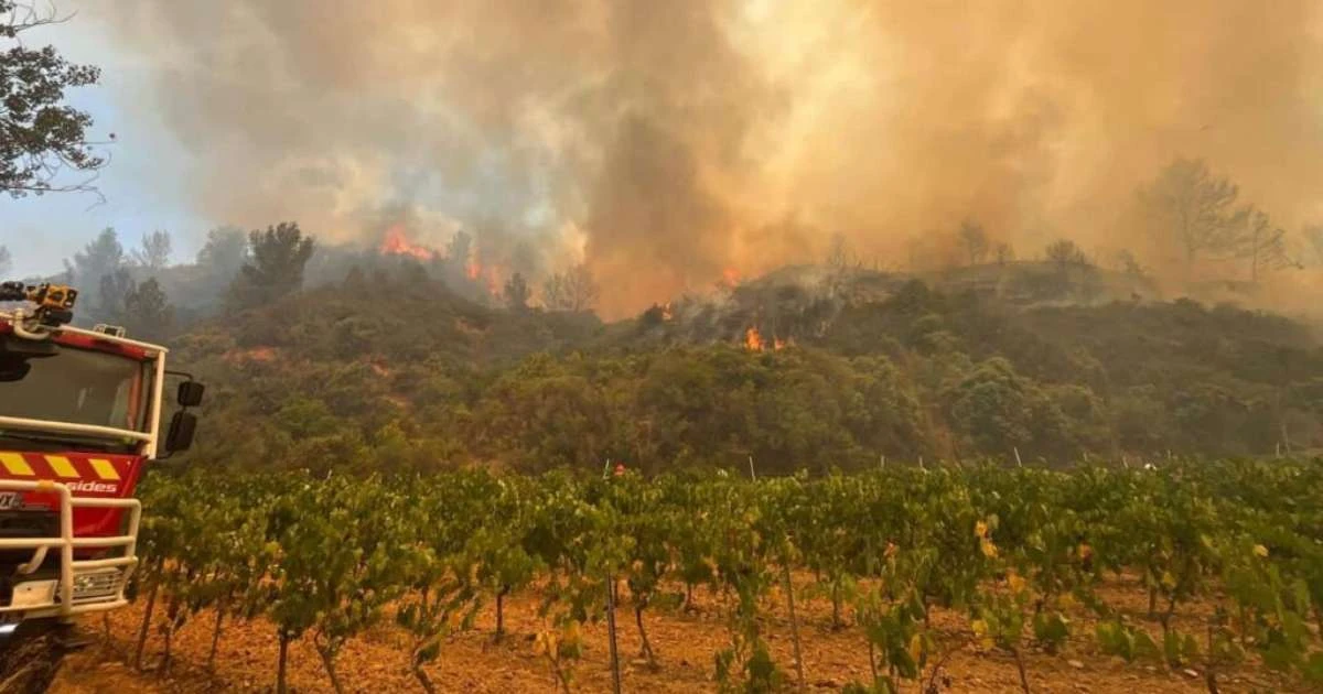 Incêndio 'apocalíptico' que atingiu o sul da França é controlado, mas danos ainda são incalculáveis