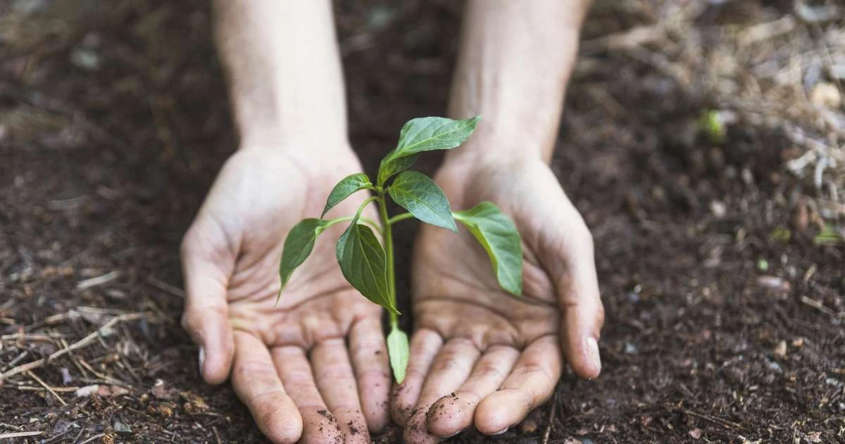 Projeto Viver Territórios promove workshops gratuitos