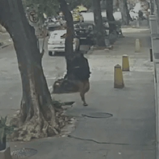 Mulher é 'engolida' por bueiro após tampa ceder no Rio de Janeiro; veja vídeo