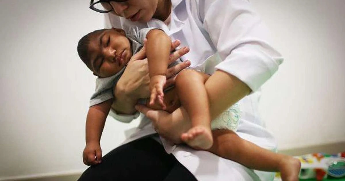 10 anos da epidemia de zika: como desnutrição, toxinas na água e agrotóxicos criaram 'bolsões de microcefalia' no Brasil