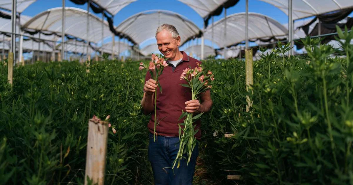 Flor tem origem: o mercado que o Brasil ainda não vê