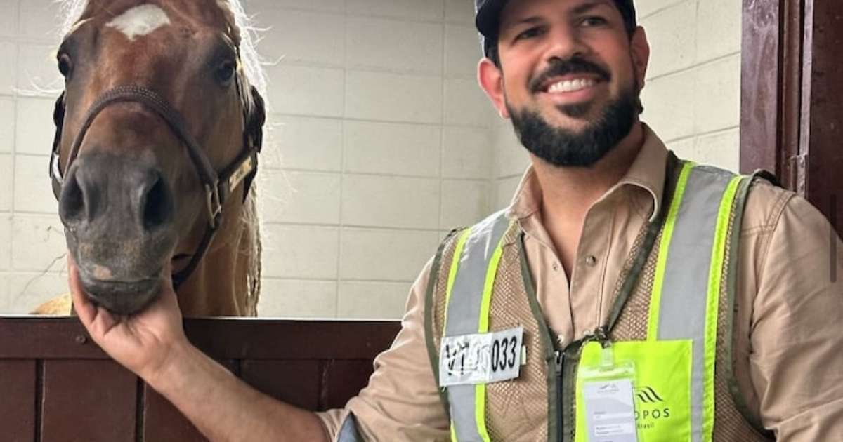 Sorocaba constrói casa luxuosa para seu cavalo; veja vídeo