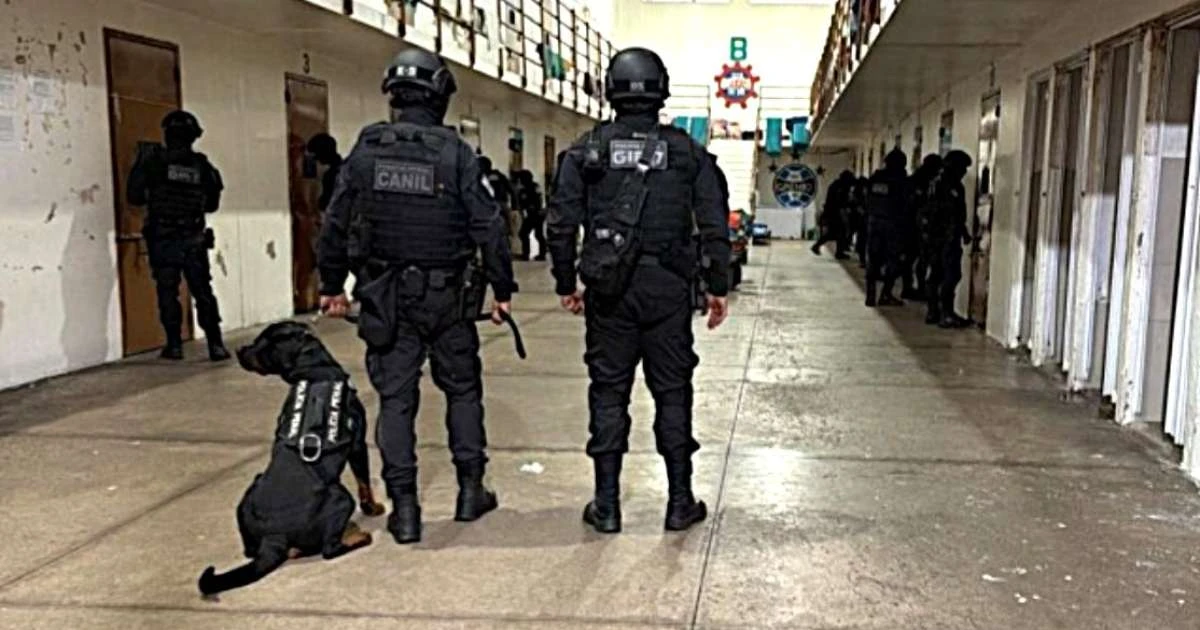 Polícia Civil corta comunicação de detentos que lideravam crimes de dentro de Penitenciária Gaúcha