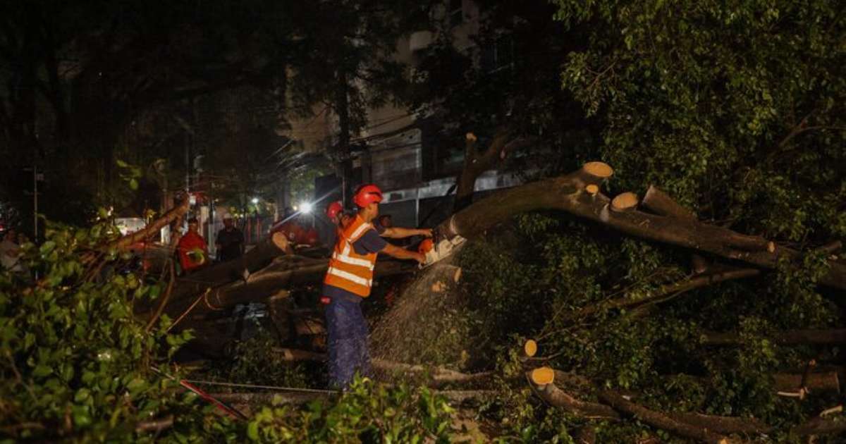 Após chuva que causou morte, 74 mil imóveis seguem sem luz; 217 árvores caíram na Grande SP