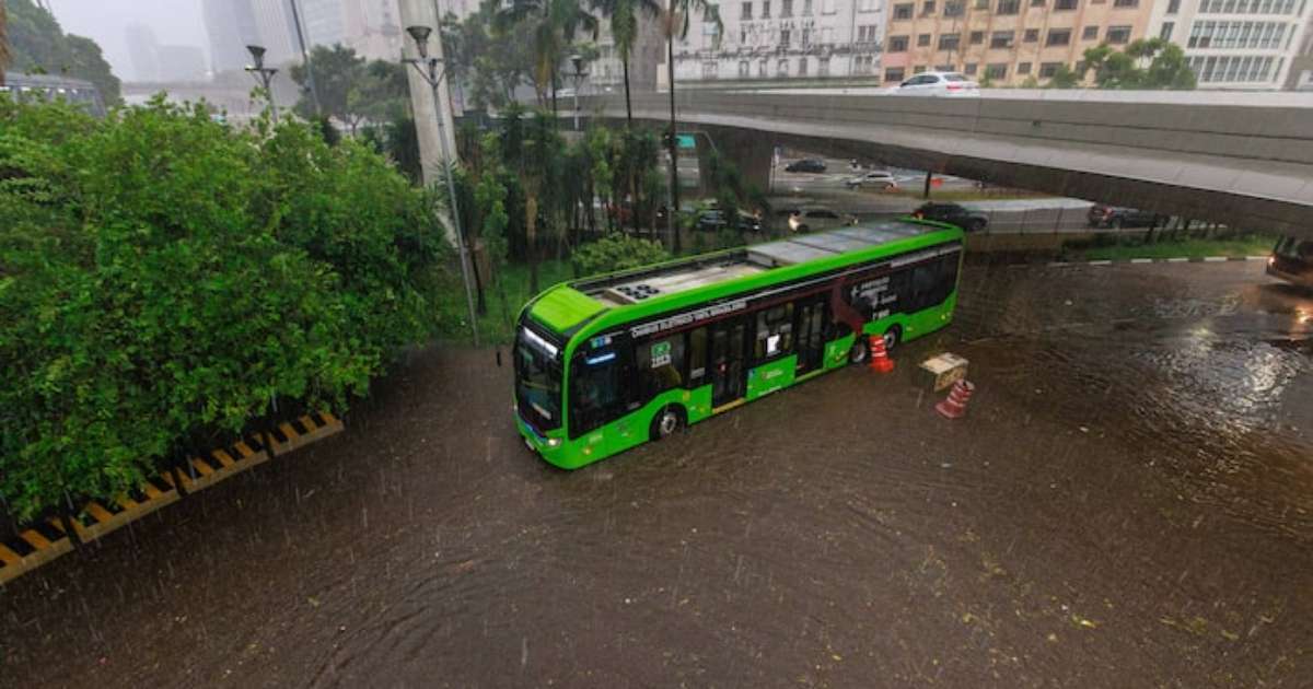 Veja imagens da chuva que matou 1 pessoa e derrubou mais de 150 árvores em SP