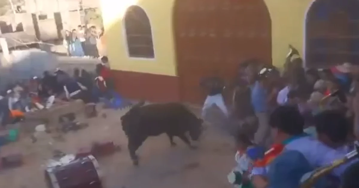 Trinta pessoas ficam feridas após touro escapar em celebração religiosa no Peru; veja