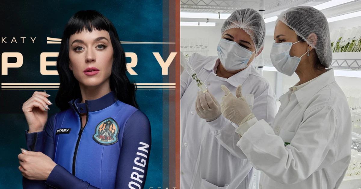 Katy Perry no espaço: voo leva sementes de batata-doce e grão-de-bico desenvolvidas pela Embrapa