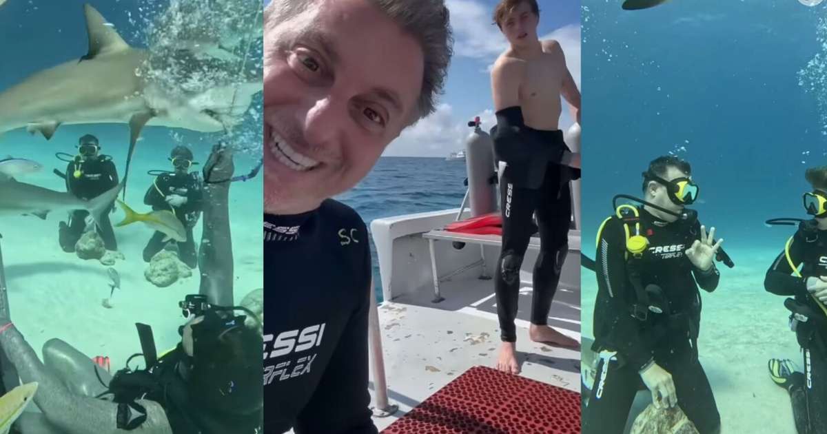 Corajosos até demais! Luciano Huck e Benício mergulham em mar repleto de tubarões e web especula reação de Angélica: 'Mãe sofre'