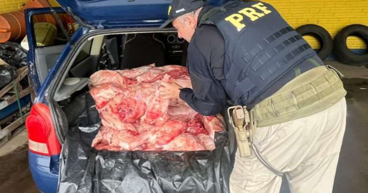 Homem é preso com cerca de 300 quilos de carne de capivara em Livramento