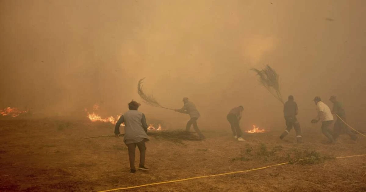 Seca histórica atingiu Europa e bacia mediterrânea em agosto, mostra relatório