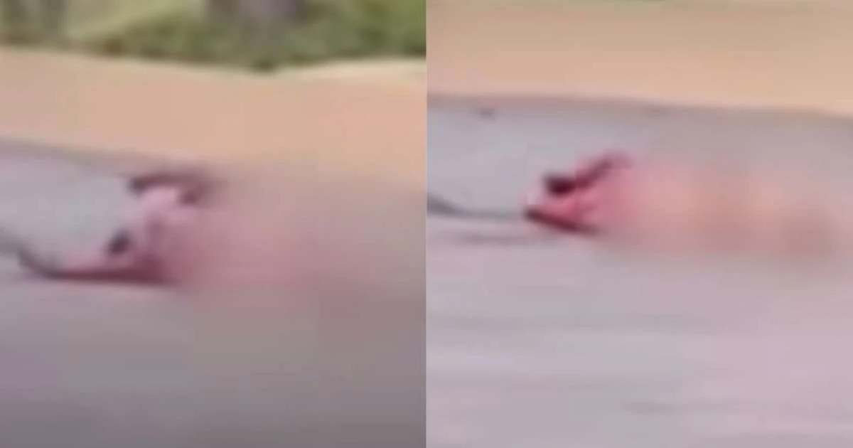 Homem é flagrado nu e ensanguentado em frente a motel no CE