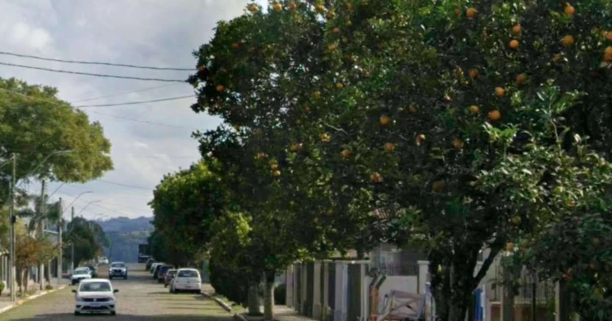 Duas jovens são atacadas com água sanitária ao colher bergamotas em via pública na Serra Gaúcha