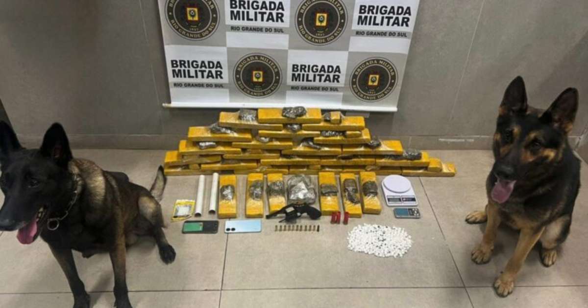 Com o apoio do Canil da Brigada Militar depósito de drogas é descoberto em Capão da Canoa