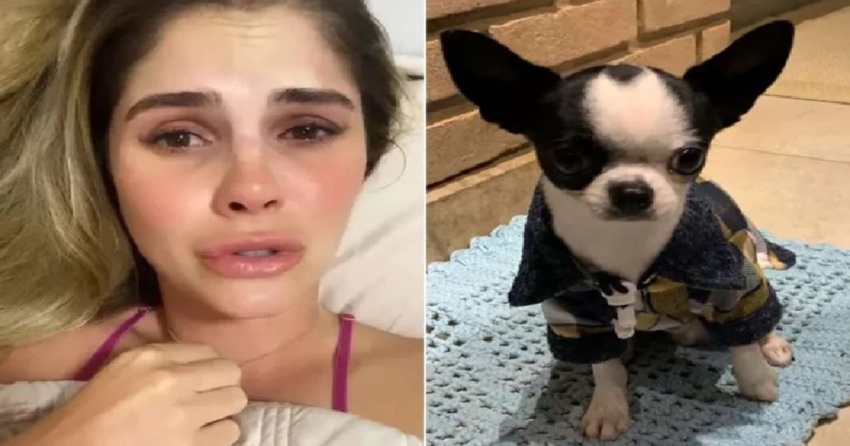 Bárbara Evans sai correndo descalça e de pijama para salvar seu cachorro