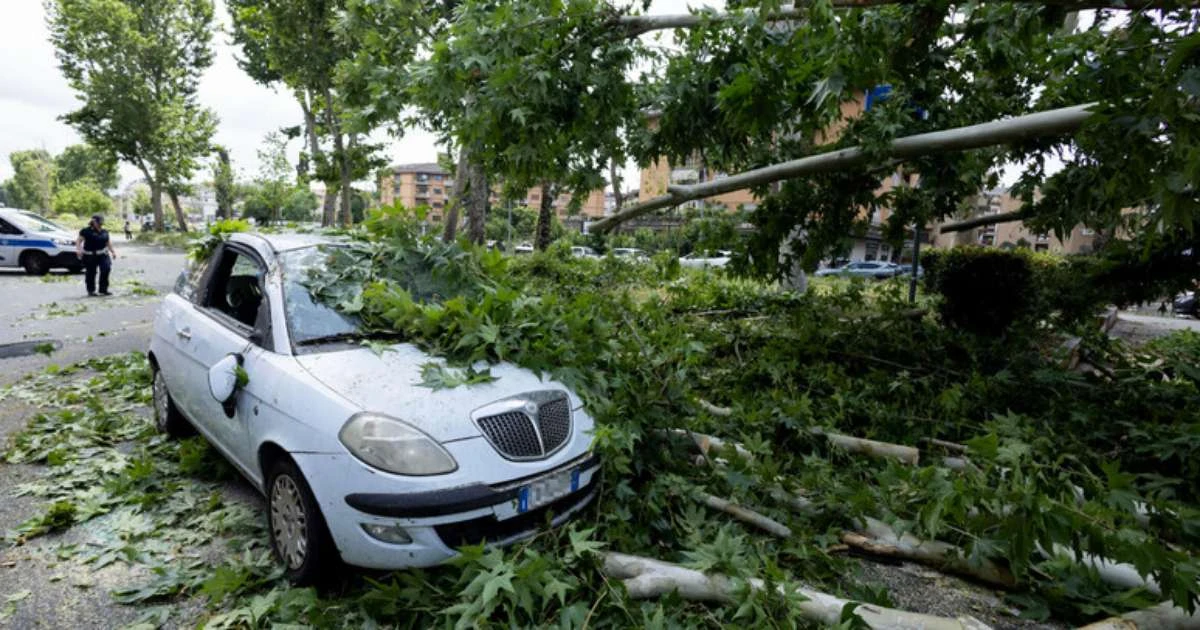 Tornado provoca queda de árvores e paralisação de trânsito em Roma