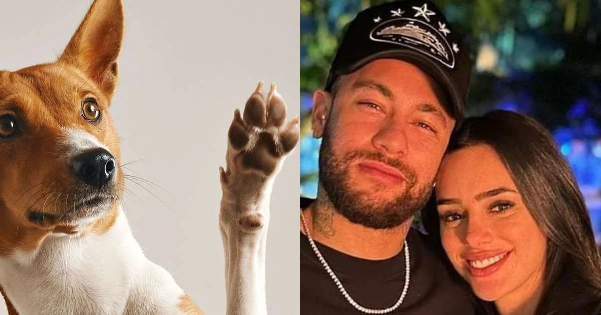 É um dos 3 nomes MAIS amados no Brasil por donos de pet: coincidência une escolha de Neymar e Bruna Biancardi a ranking sobre animais