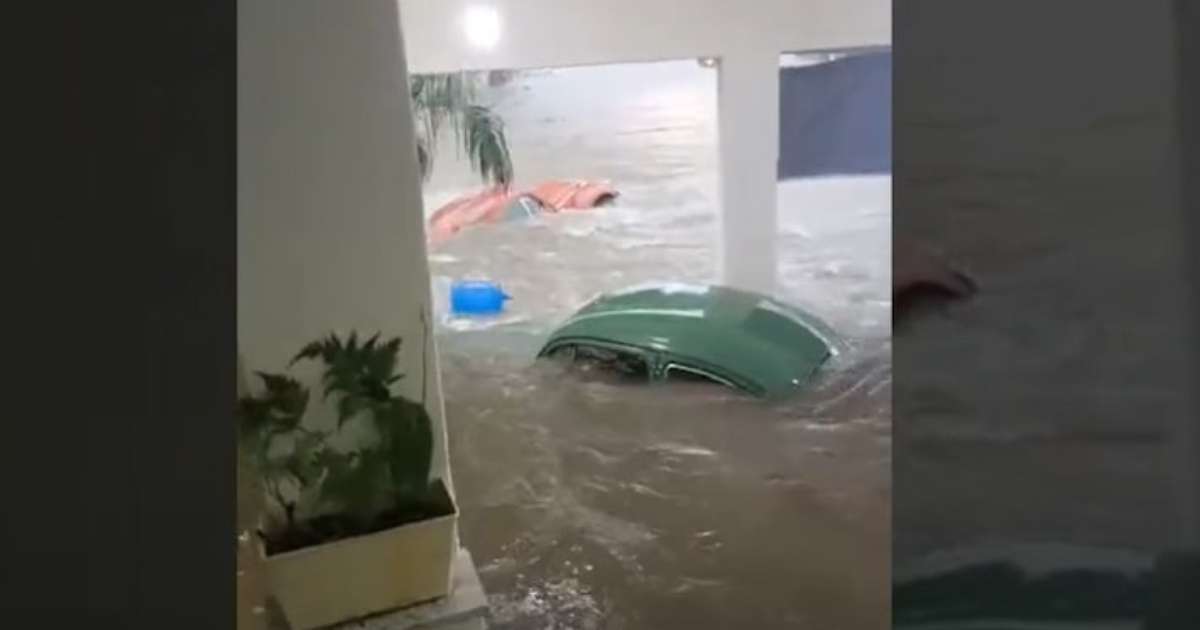 Loja de fuscas raros vira 'rio' durante forte chuva em SP e carros ficam submersos