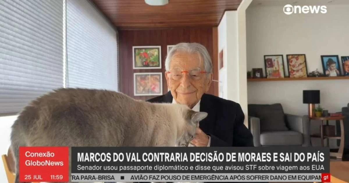 Gato invade transmissão da GloboNews e rouba a cena; confira