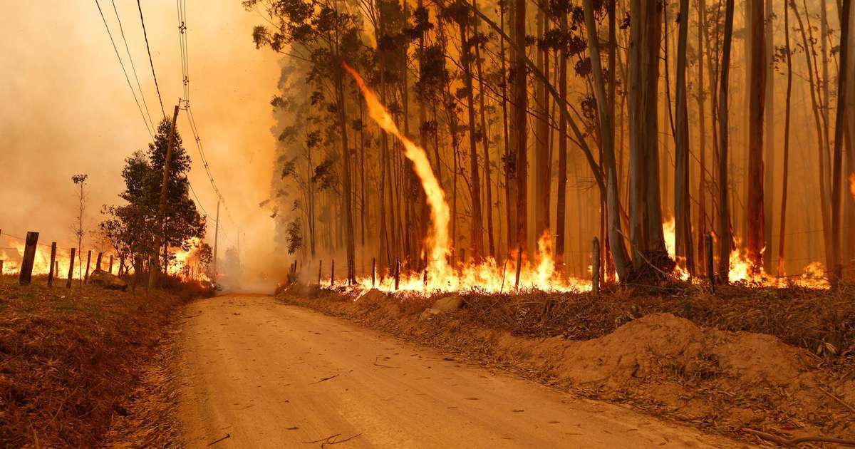 Homem é preso suspeito de provocar incêndios no interior de São Paulo, diz Defesa Civil