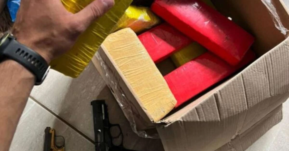 DENARC descobre estufa clandestina para fabricação de drogas no RS