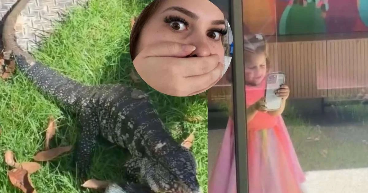 Meu Deus! Lagarto INVADE mansão de Virgínia Fonseca e filhas da influencer têm reação inacreditável; assista