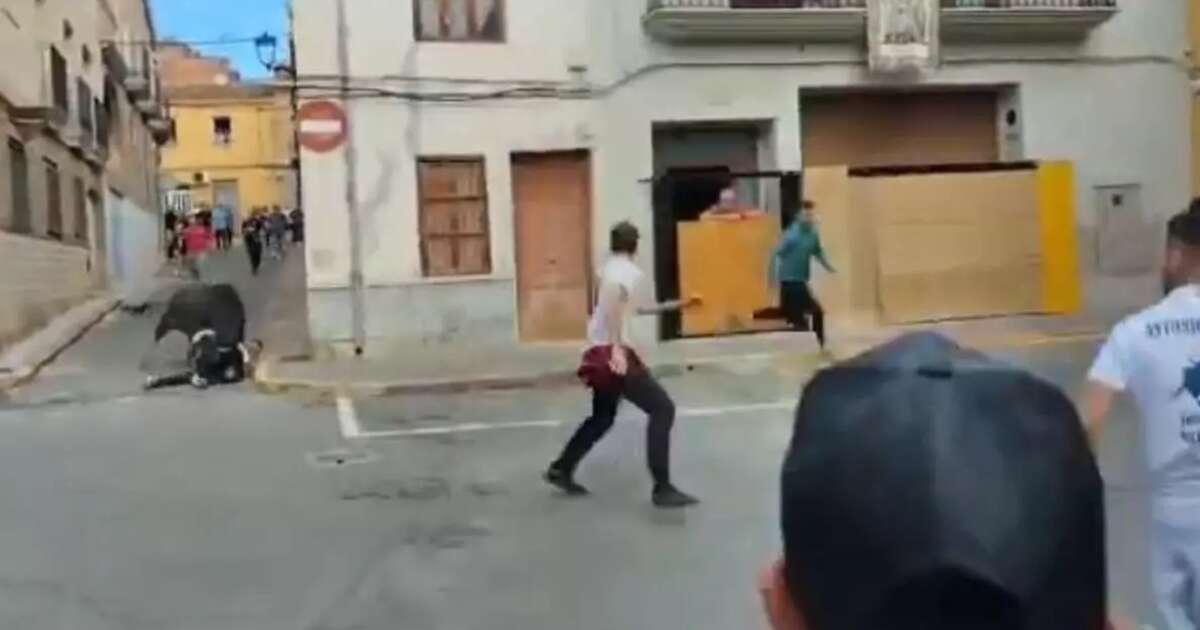 Homem tropeça e é morto por touro durante evento na Espanha; veja vídeo