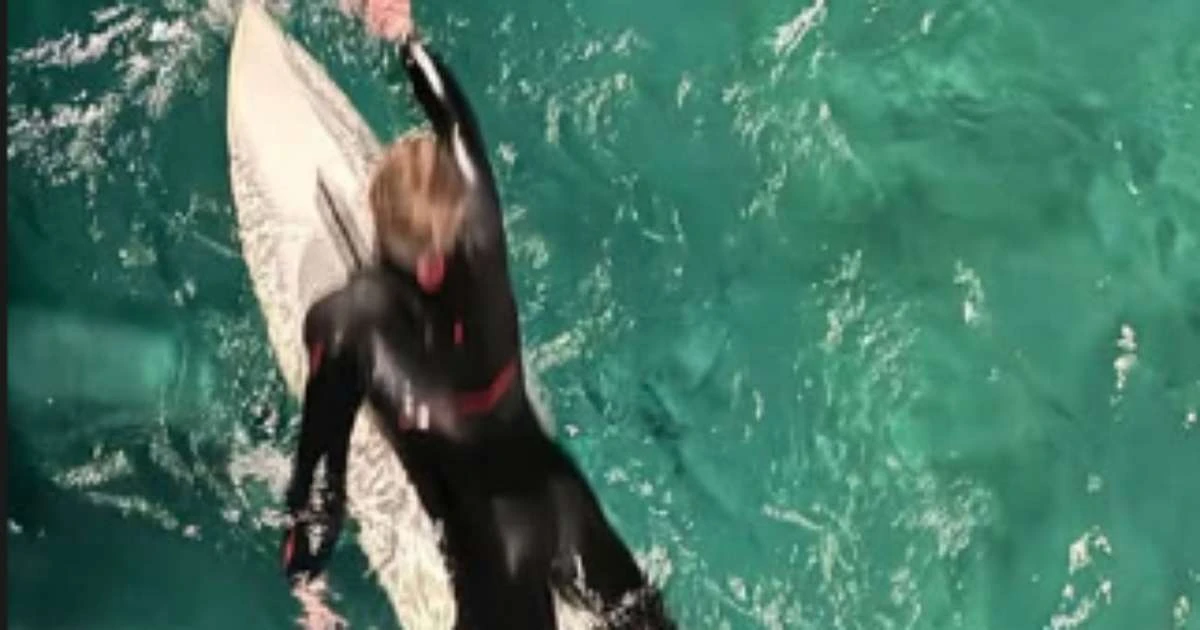 Após polêmica, Luciano Huck posta registros de surfe com os filhos