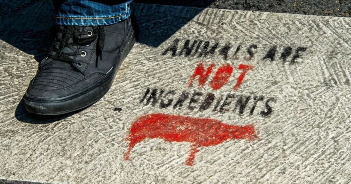 'Foie gras de buldogue' e 'leite de labrador'? Fazenda fictícia denuncia exploração animal na França