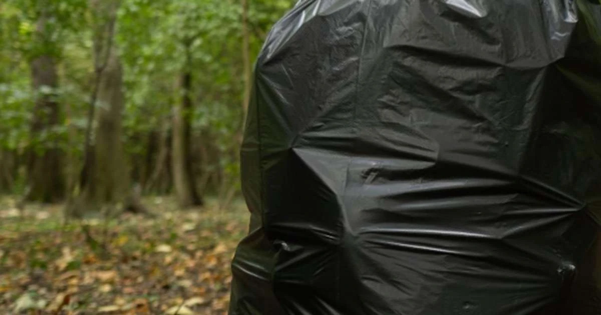 Cerca de cem animais são encontrados mortos na Região Metropolitana
