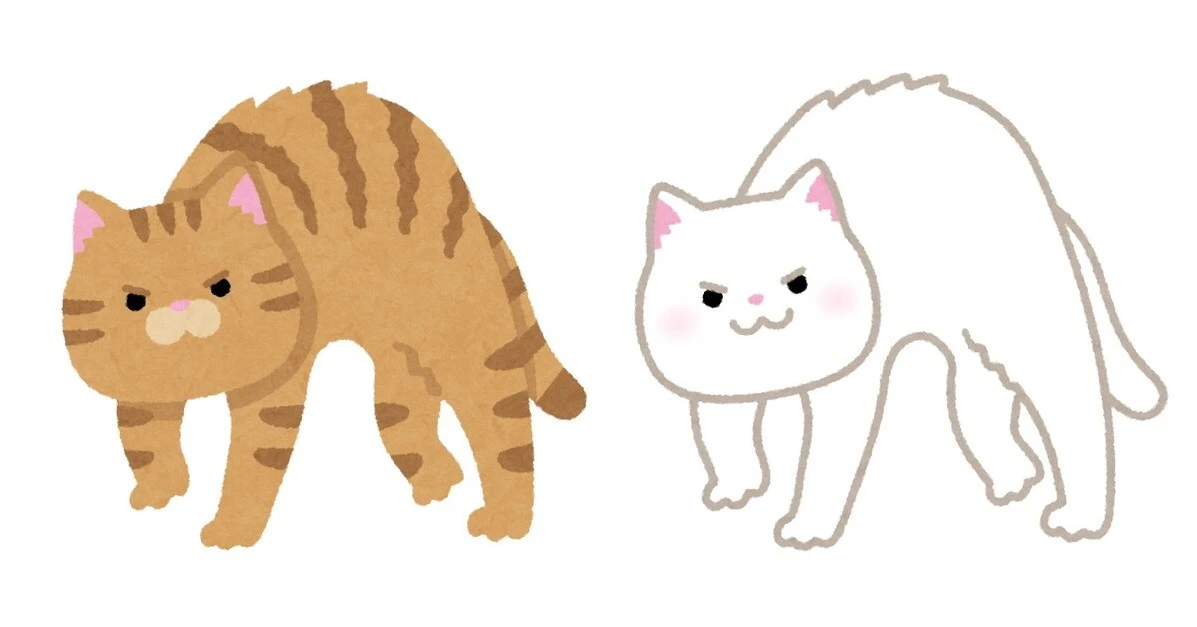 猫はどれくらい液体か？　30匹に狭い隙間を通過させる実験　ハンガリーの研究者が24年に検証
