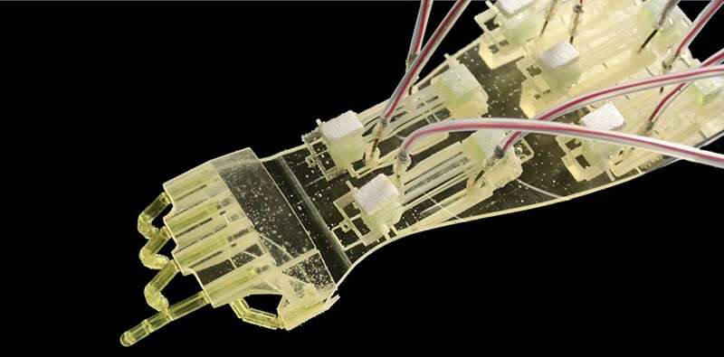 ヒト由来の培養筋組織で作ったロボットハンド、東大、早大らの研究グループが開発　義手へ応用の可能性も