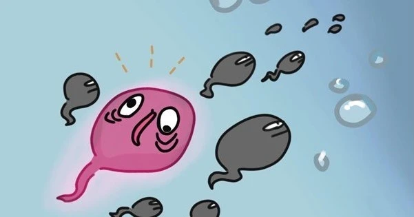 50歳以上の精子、約25個に1個が変異　「子に発達障害やガンなどをもたらす可能性」　英国チームが発表