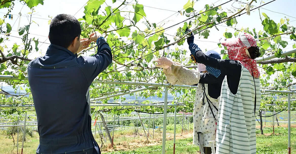 何もなさそうだから面白い？　“働く旅”がじわじわ増えているワケ