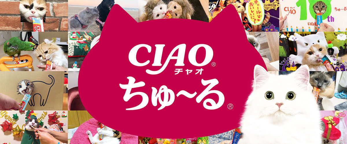 炎上乗り越え？　増収増益の「ちゅ～る」いなば食品はなぜ“許されてしまった”のか