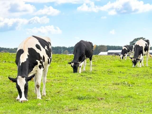 酪農業の倒産・休廃3年連続増加　飼料高騰などの影響で