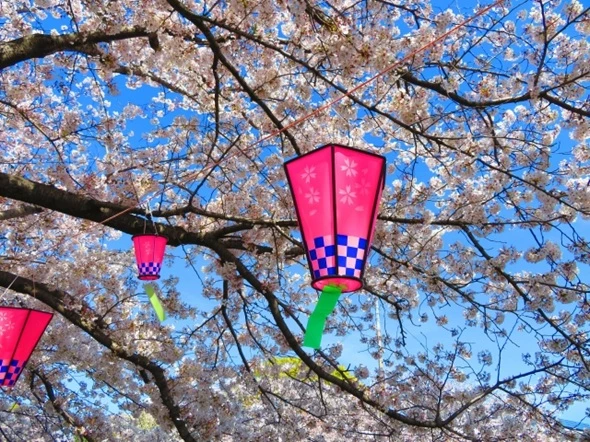 企業の「お花見・歓迎会」実施率、3割未満に　コロナ後も戻らず